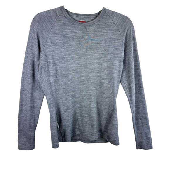 Icebreaker Bodyfit 260 Gray Long Sleeve New Zealand Merino Wool Top Women's Sz L - Picture 1 of 7
